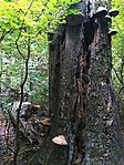 IMG_20211021_161559