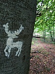 IMG_20211021_161534