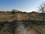 IMG_20211031_135528