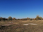 IMG_20211031_140045