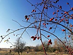 IMG_20211031_135702