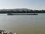 IMG_20211003_150308