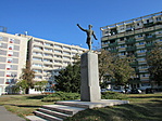 IMG_5414