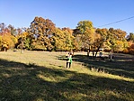 IMG_20211029_125226