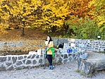 IMG_20211029_125524
