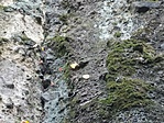 IMG_20211029_152503