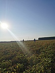 IMG_20211003_163536