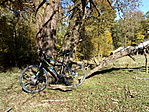 IMG_20211024_115706
