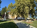 IMG_4709