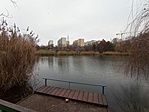 A tó, háttérben a tömbházakkal