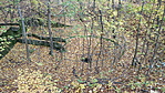IMG_20211106_122049
