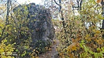 IMG_20211101_120437