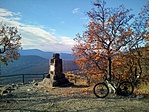 IMG_20211118_100739_6 (1)