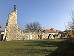 IMG_7029