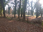 IMG_20211120_130756_1