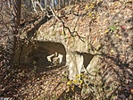 IMG_20211106_115231