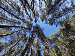 IMG_20211106_115335