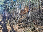 IMG_20211106_115450
