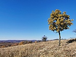 IMG_20211106_123028