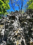IMG_20210509_145653