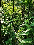 IMG_20210620_172535