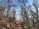 IMG_20211120_102043