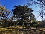 IMG_20211120_123033