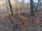 IMG_20211120_131304