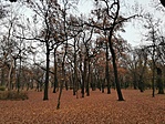 IMG_20211116_155250