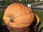 IMG_5663