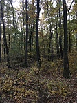 IMG_5703