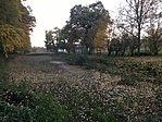 IMG_5704