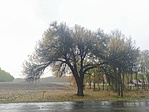 1636127503015