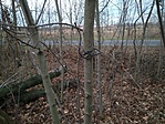IMG_20211128_131457