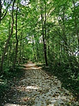 IMG_20211016_103058
