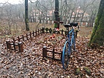 IMG_20211128_113359