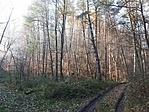 20211117_092449
