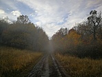 IMG_20211104_151601