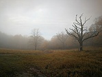 IMG_20211104_151523