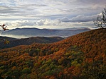 IMG_20211104_152754