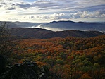 IMG_20211104_152804