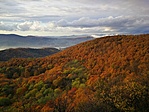 IMG_20211104_152813