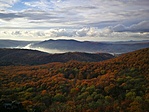 IMG_20211104_152809