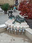 IMG_20211108_155709