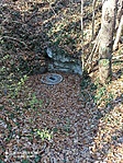IMG_20211120_122545