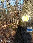 IMG_20211120_121734