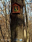 IMG_20211120_120924