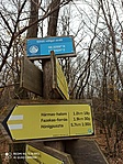 IMG_20211127_133518