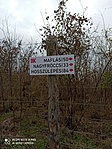 IMG_20211127_141418
