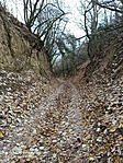 IMG_20211127_142231